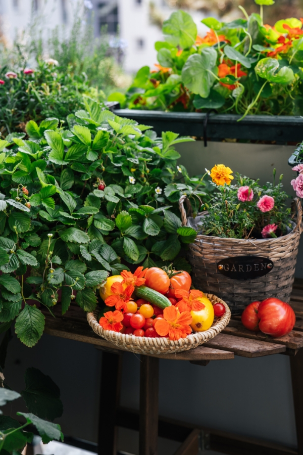 vegetables and flowers